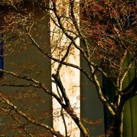 Весенние зарисовки 87 :: Алексей Кузнецов