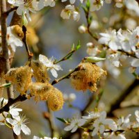 из снятого сегодня 2 :: Александр Прокудин из снятого сегодня 2 :: Александр Прокудин