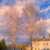 Апрельский вечер :: Сергей Кочнев