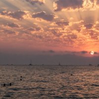 Закат на Черном море :: Игорь Сикорский