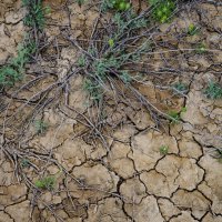 Земля Мангыстау :: Анатолий Чикчирный