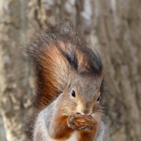 Москва. Воронцовский парк. :: Наташа *****