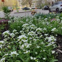 ... :: Сергей Тимоновский