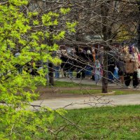 День покоя — и день хлопот. :: Татьяна Помогалова День покоя — и день хлопот. :: Татьяна Помогалова