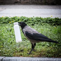 Хорошая тара - пригодится. :: Александр 