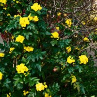 Весенние зарисовки 91 :: Алексей Кузнецов