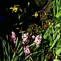 Весенние зарисовки 95 :: Алексей Кузнецов