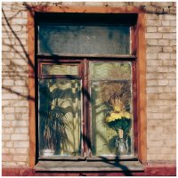 *** :: someone somewere