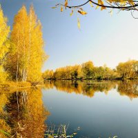 Золото сентября :: Михаил Белоусов
