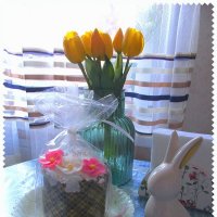 Христос воскресе! Мира, добра и солнечного настроения! :: Alisia La DEMA Христос воскресе! Мира, добра и солнечного настроения! :: Alisia La DEMA