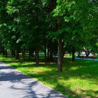 Чебоксары. Сквер им. Михаила Сеспеля в начале лета. :: Пётр Чернега