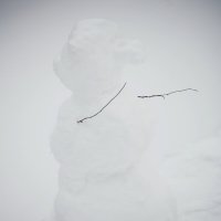 Руководитель тумана . :: Иван Реут