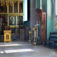 Лучики добра. :: Наталья Вязигина