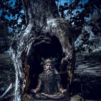 Дух старого сада :: Валерий Кролик