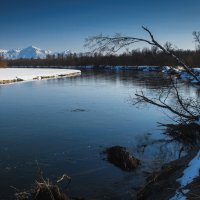 ... :: Жора Житников ... :: Жора Житников