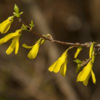 ... :: Елена Пономарева ... :: Елена Пономарева