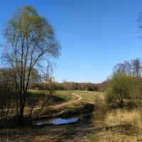 В моём храме :: Андрей Лукьянов