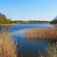 Весна на Смоленщине. :: Милешкин Владимир Алексеевич Весна на Смоленщине. :: Милешкин Владимир Алексеевич