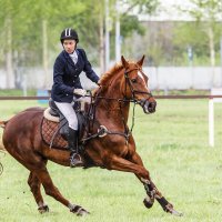 Конкур :: SanSan 