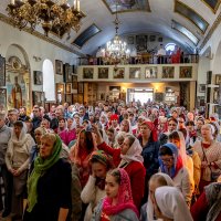 *** :: Андрей Lyz