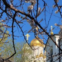 Пасхальная неделя :: ИРЭН@ .