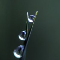 ***** :: Андроник Александр 