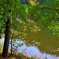 Верхний Кузьминский пруд :: Игорь Белоногов Верхний Кузьминский пруд :: Игорь Белоногов