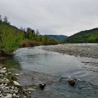 р.ШАХЕ :: Tata Wolf