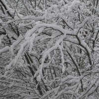 Зимние красоты апреля. Год 2025 :: Дмитрий Никитин