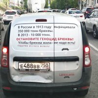 Спасите брюкву! :: Валерий Пославский
