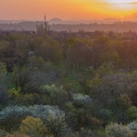 Утро. :: Сергей Лысенко