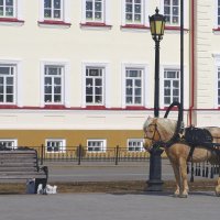 у Тобольской духовной семинарии :: Сергей Швечков у Тобольской духовной семинарии :: Сергей Швечков