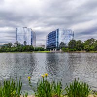 Озеро Lake Woodlands :: **** vedin