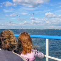 Волга :: **** vedin