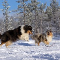 Игры :: Любовь Овсянкина
