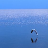 Минимализм Финского залива :: Магомед .