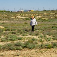 В степи :: Анатолий Чикчирный В степи :: Анатолий Чикчирный