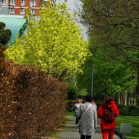 В парке... :: Николай Саржанов