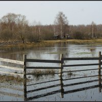 Наводнение... :: Aleksandr Gal