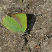 из снятого сегодня 2 :: Александр Прокудин