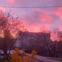 Рассвет :: Сапсан 