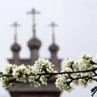 22 апреля :: Михаил Бибичков