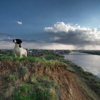 БимА :: alecs tyapin