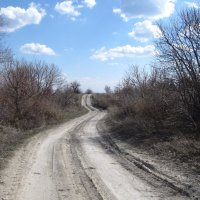 ещё зовут дороги :: Елена Шаламова