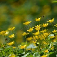 Взбегая на горку :: Татьяна Тюменка Взбегая на горку :: Татьяна Тюменка