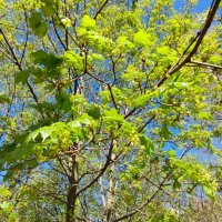 ,,, :: Сергей Тимоновский