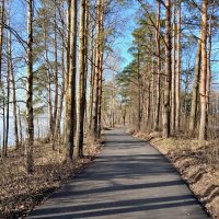 Апрель, тепло, сухо, безветрие - идеально для прогулок! :: Лия ☼