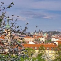 В Праге :: Ирэн 