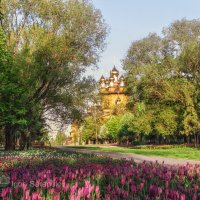 Апрельское утро в парке Южный :: Игорь Сарапулов