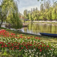 Красивая весна :: Игорь Сарапулов